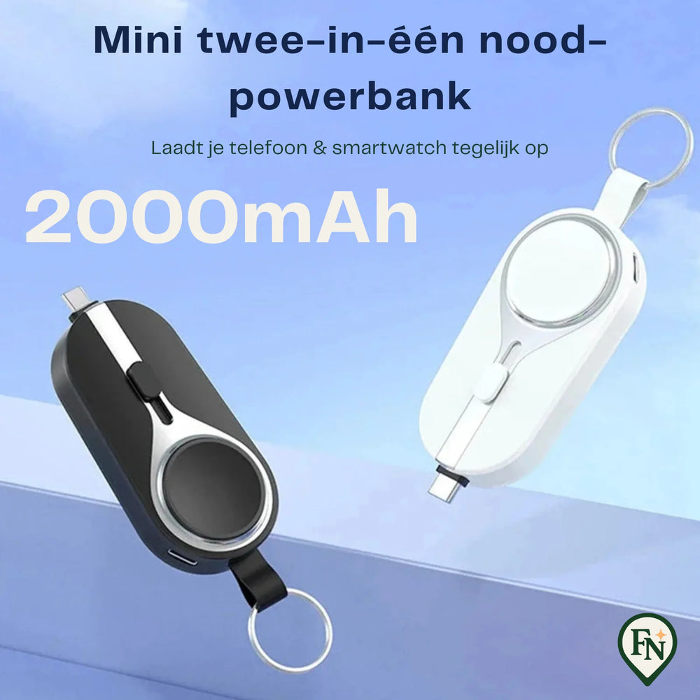 2-in-1 PowerBank