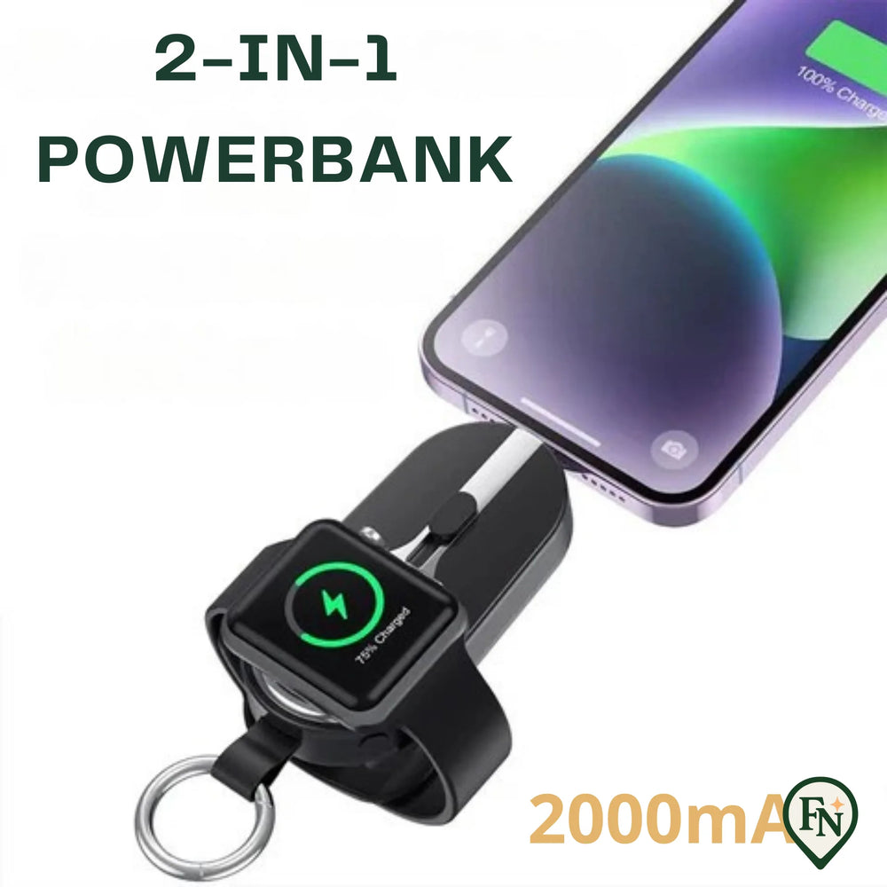 2-in-1 PowerBank