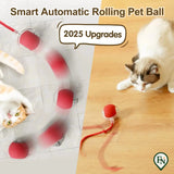 Automatische Pet Toys