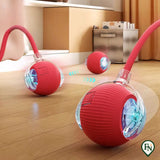 Automatische Pet Toys