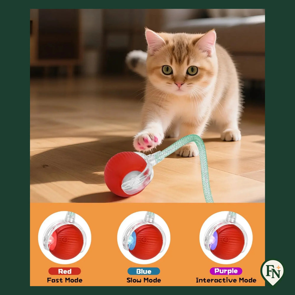 Automatische Pet Toys