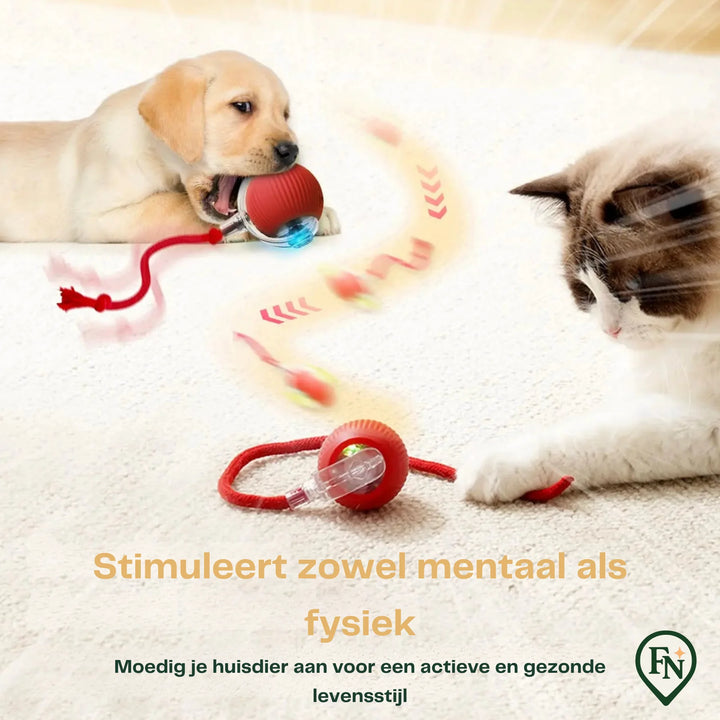 Automatische Pet Toys