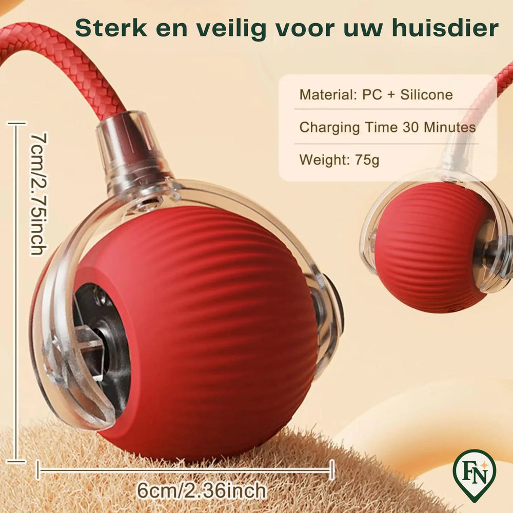 Automatische Pet Toys