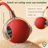 Automatische Pet Toys