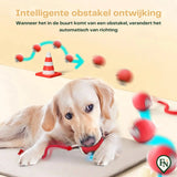 Automatische Pet Toys