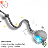 Automatische Pet Toys Grijs - Staart