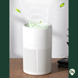 Lucht Reiniger-Verfrisser