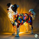 Glass Glow Dog Border Collie