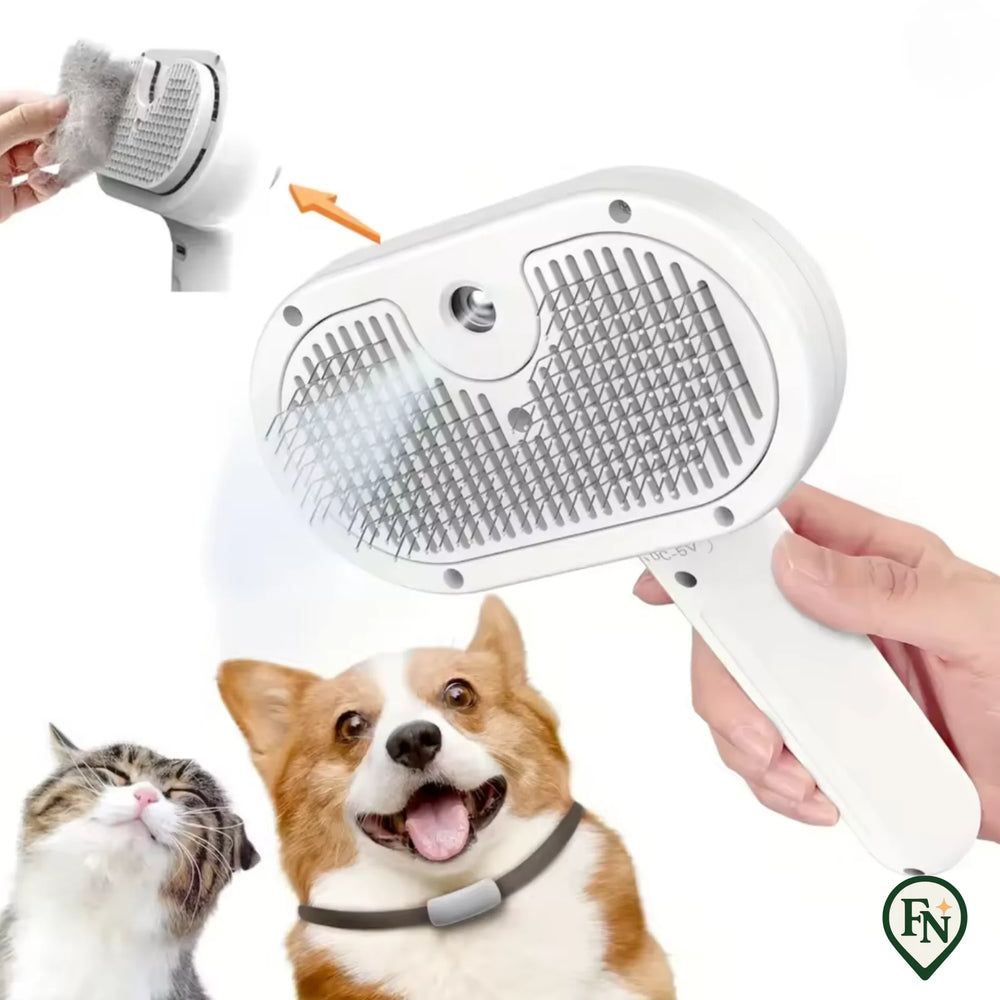 Huisdier Stoom-Borstel