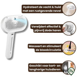 Huisdier Stoom-Borstel