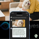 IntellEyes™ - Slimme AI-Bril met Camera Spraak & Vertaling