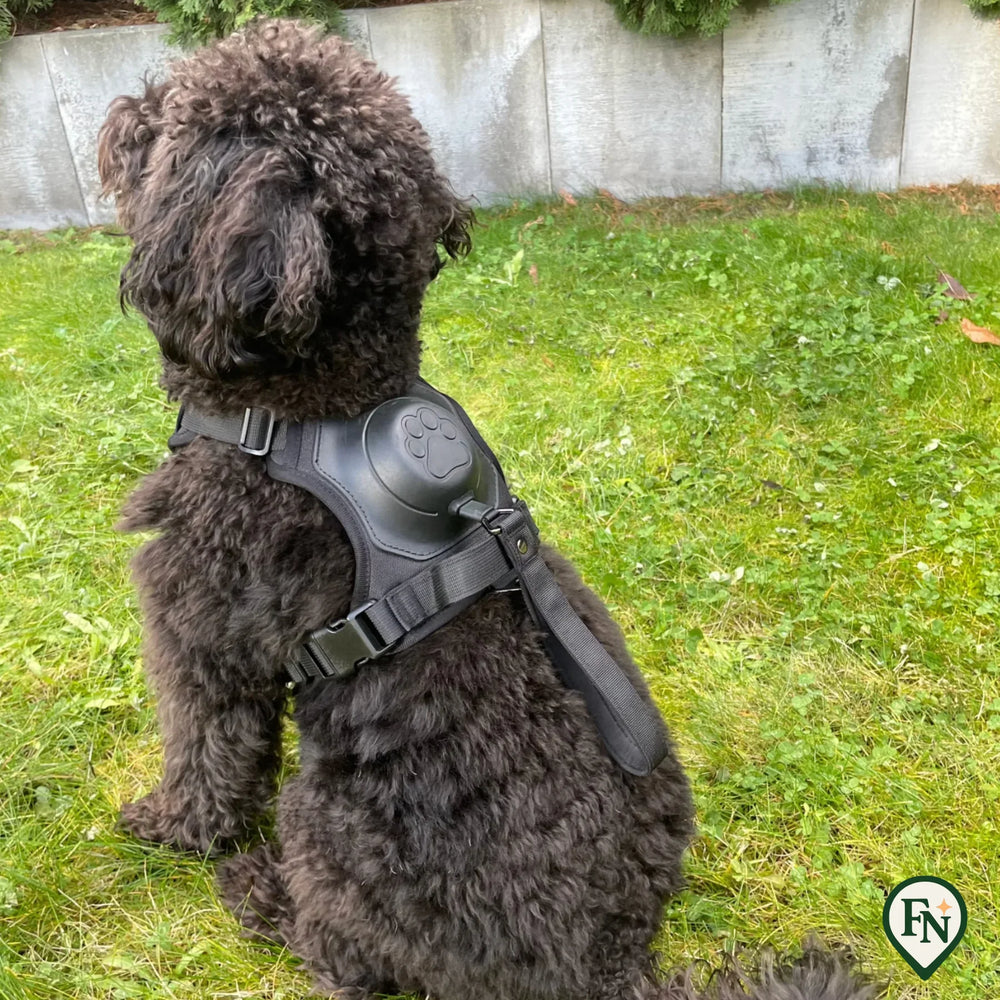 LeashGo™ – Harnas en Lijn in Eén voor Direct Wandelgemak