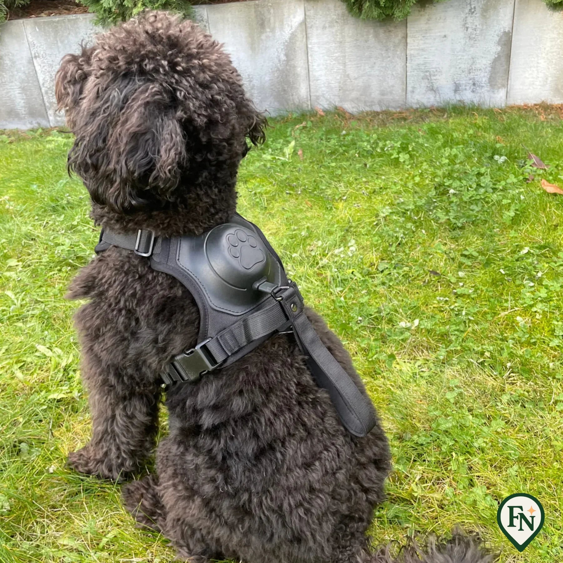 LeashGo™ – Harnas en Lijn in Eén voor Direct Wandelgemak