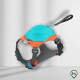 LeashGo™ – Harnas en Lijn in Eén voor Direct Wandelgemak Mix / M - (5-13 Kg)