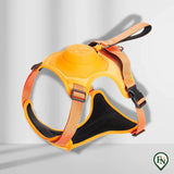 LeashGo™ – Harnas en Lijn in Eén voor Direct Wandelgemak Oranje / M - (5-13 Kg)