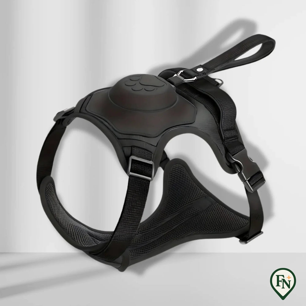 LeashGo™ – Harnas en Lijn in Eén voor Direct Wandelgemak Zwart / M - (5-13 Kg)