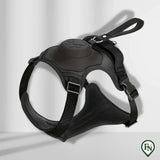 LeashGo™ – Harnas en Lijn in Eén voor Direct Wandelgemak Zwart / M - (5-13 Kg)
